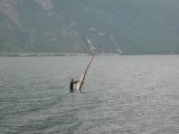 IMG_1911 